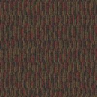 884 Designate