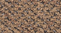 Carpet Tiles from Carpet Bargains