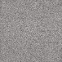 98840 Schnauzer