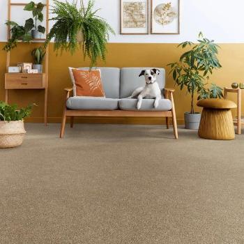 Dixie Home Carpet