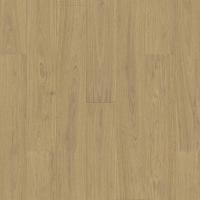 Fauve Plank