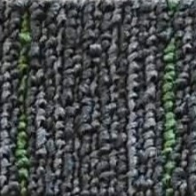 Shadow Spruce