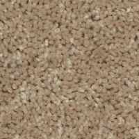 Residential Carpet E0141 Color 00107