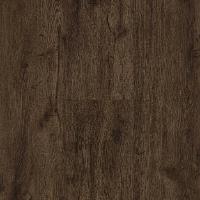Gunstock Oak 438
