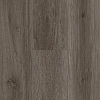 Battleship Oak 550