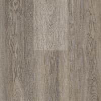  Silver Oak 561