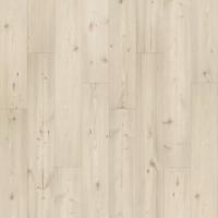 731 Shale Pine