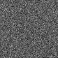 971 Shadow