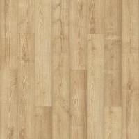 258  Rye Field Oak