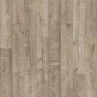 968 Mushroom Oak
