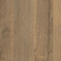 Native Ridge Riverbank Oak 348