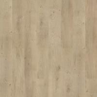 823  Cashew Oak