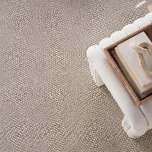 Nourison Carpet