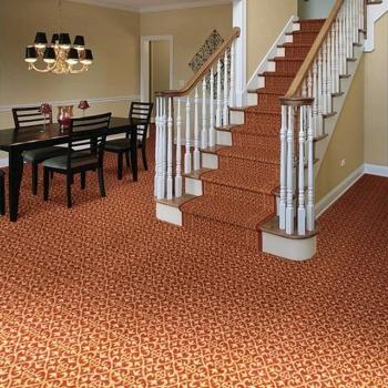 Nourison Carpet