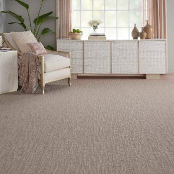 Nourison Carpet