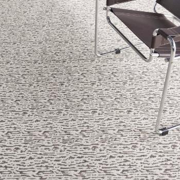 nourison Carpet