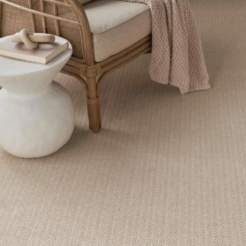 Nourison Carpet