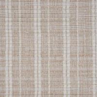 Luminous Stripe Sand Dollar