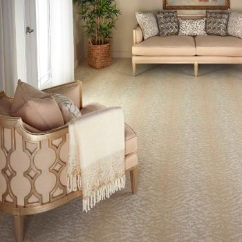 Nourison Carpet