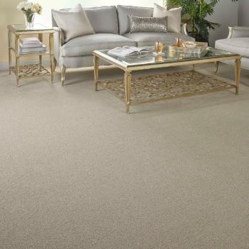 Nourison Carpet