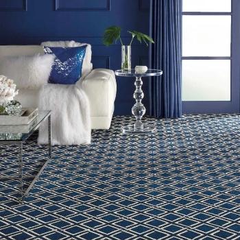 Nourison Carpet