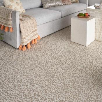 Nourison Carpet