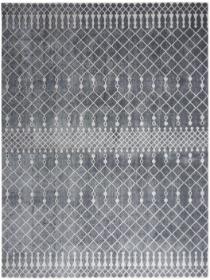 Astra Washables ASW10