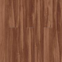 780 Sugar Maple