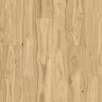 Chisolm Hickory 258