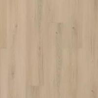 Eastbrook Shoals SDP11