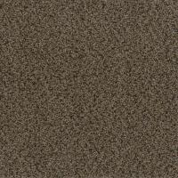 SQ108 In A Snap Rustic Charm