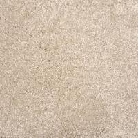 Lancelot Sand Dollar