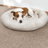 Stanton Carpet