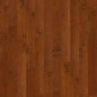 SW591 Coral Springs Burnside 00627