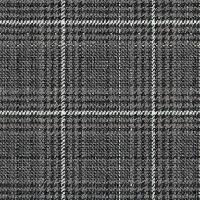 Glen Check W0043 Breton Stripe 803