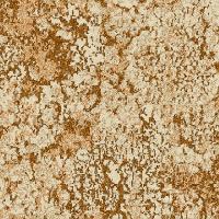 Lichen W0075 125 Earth3