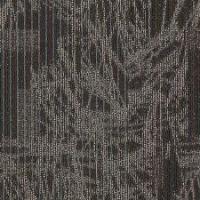 Visual Edge 521