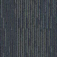 559 Perception