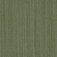 WaterColors TWTC Sap Green WTC33
