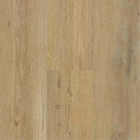 Coastal Path 604